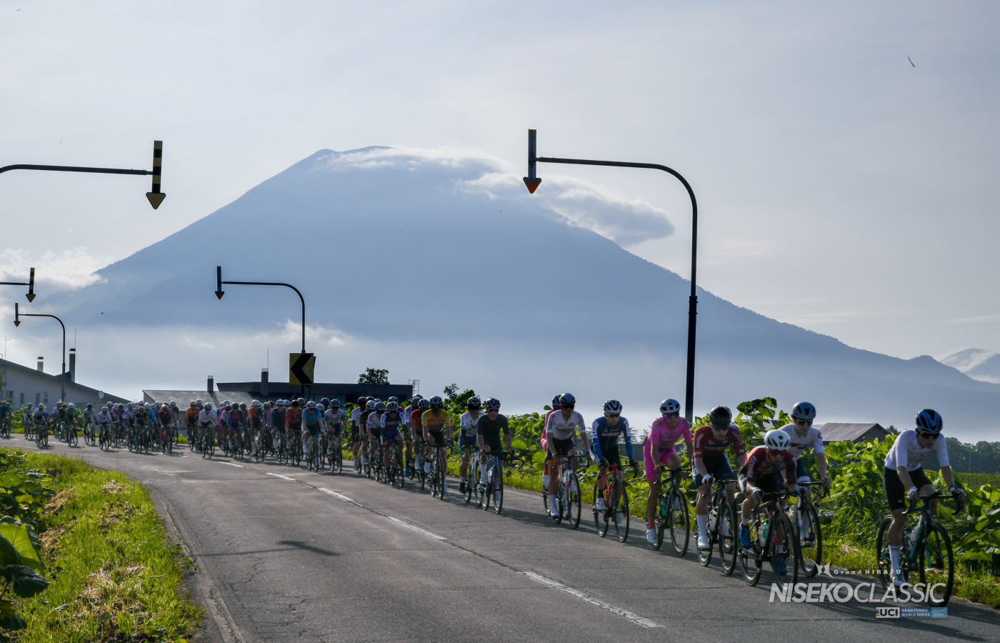 Niseko25 4 86