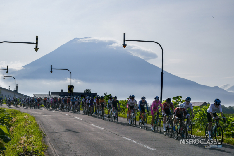 Niseko25 4 86
